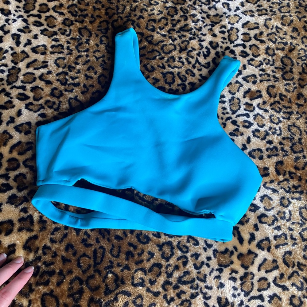 Cleo Harper bra